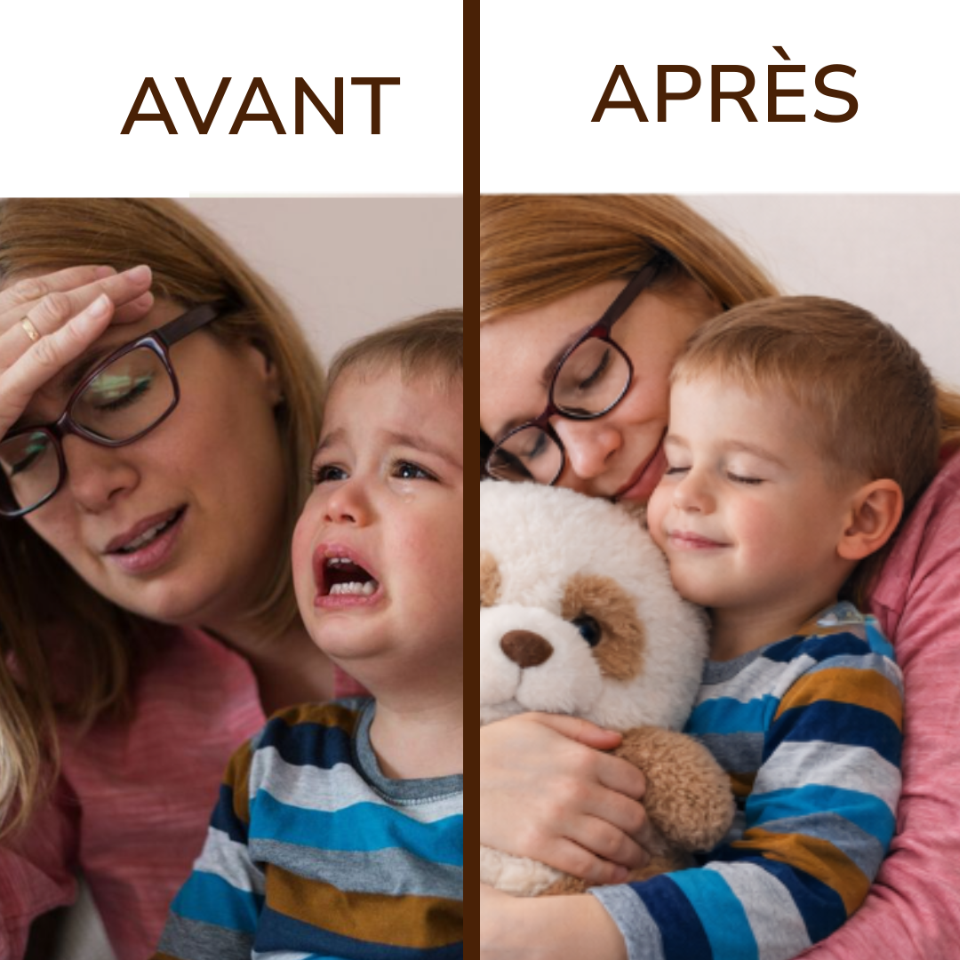 Le Compagnon du quotidien