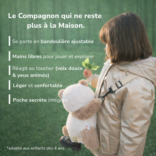 Pandafik, Le Compagnon Interactif Nomade