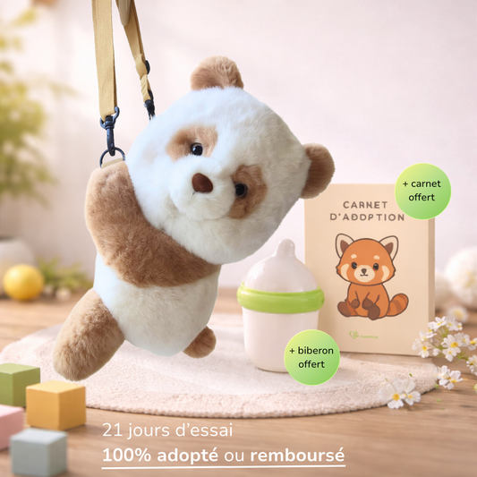 Pandafik, Le Compagnon Interactif Nomade
