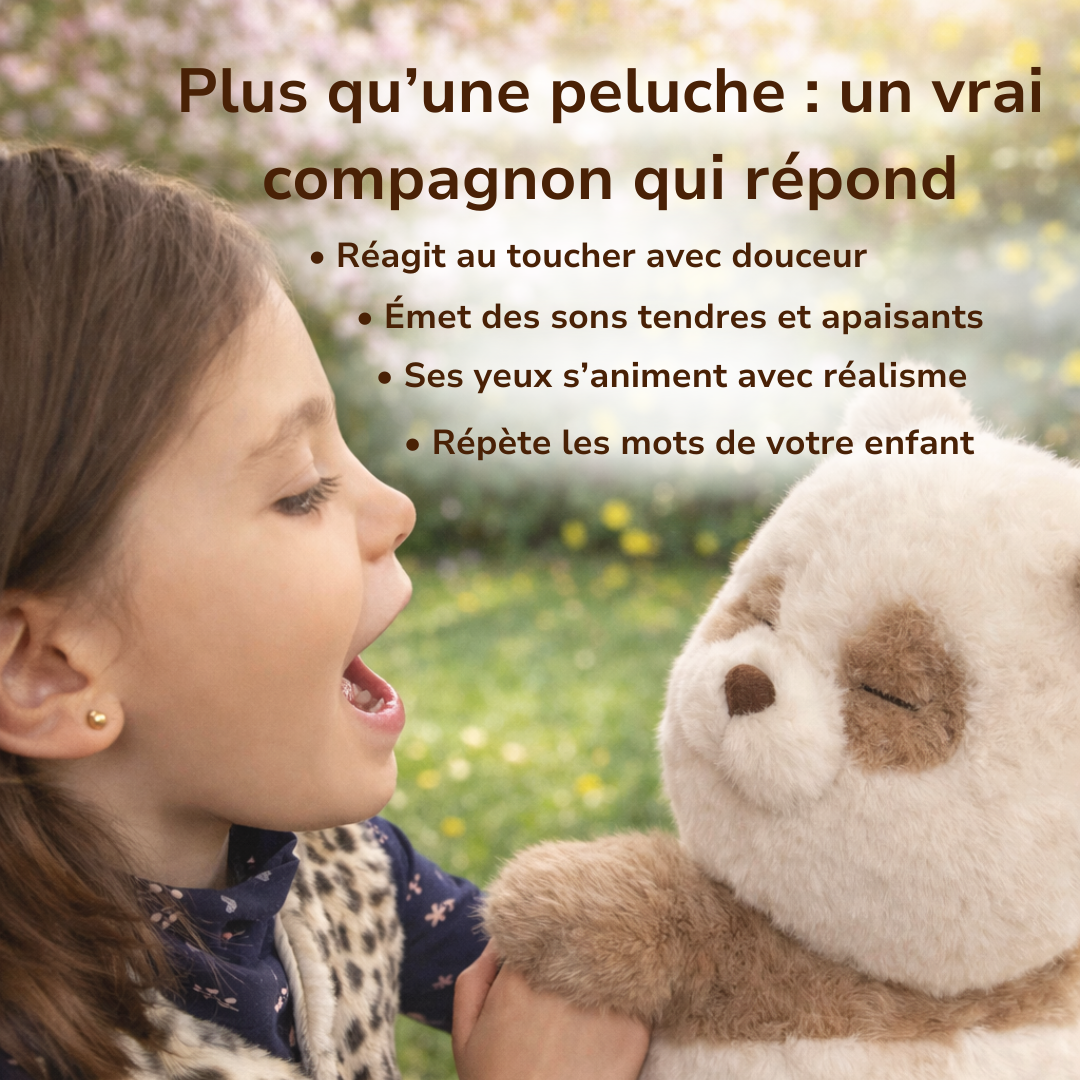 Pandafik, Le Compagnon Interactif Nomade